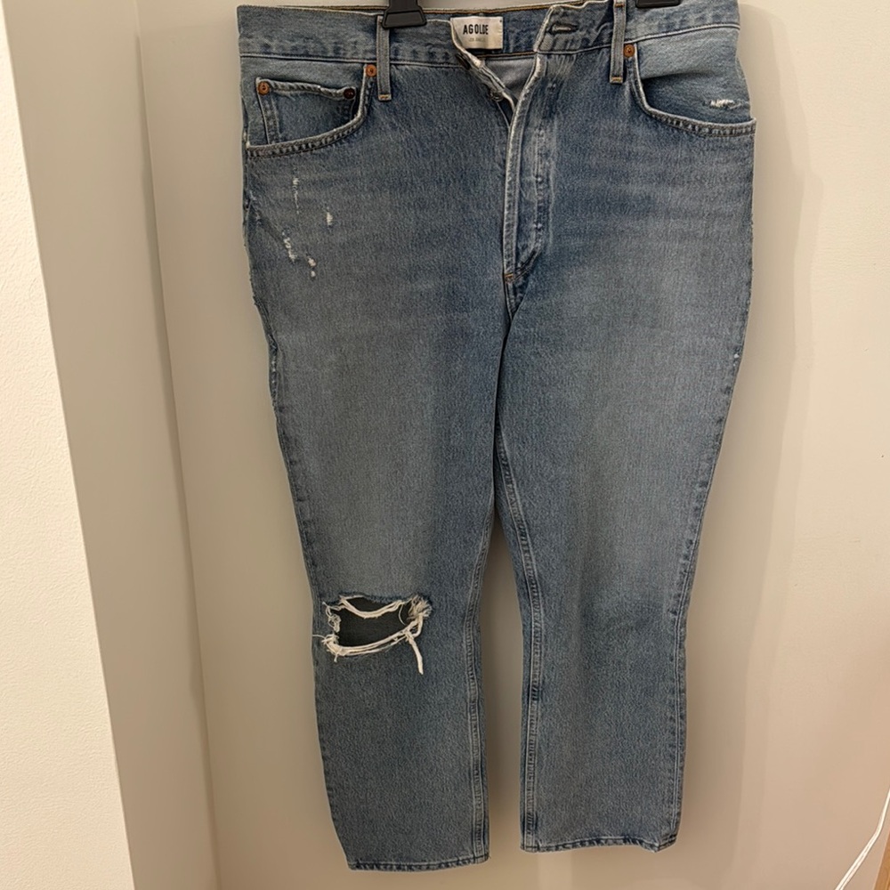 Agolde Riley High Rise Straight Crop Jeans